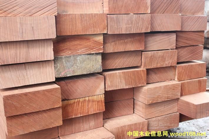 ����ľ-��ɳ����