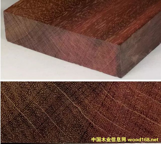 ľ�İٿƣ�ī������ľ�����Ȿ˹����ľ����