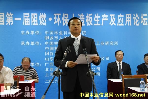 ��ȼ�����,��ȩ���������