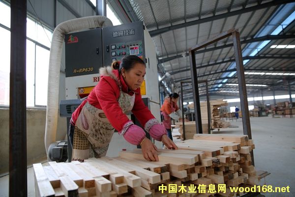 �����Ž���ɼ��ľҵ����������