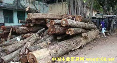 СҶ��̴�˹���