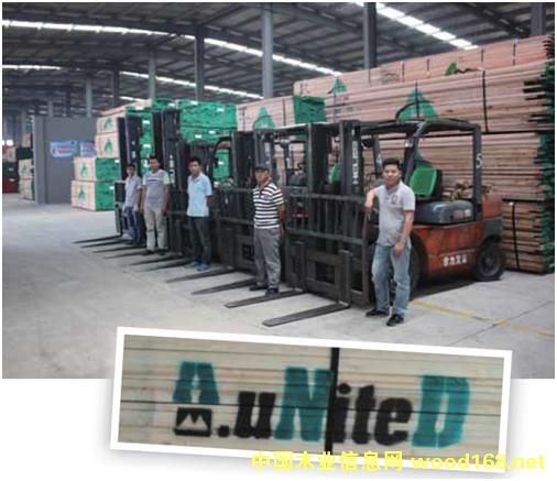 ����ľ�ľ��������Ӧ���г���ս��