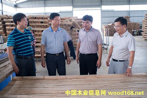 ����ľ�ļ�ɢ����-����ľҵ��������