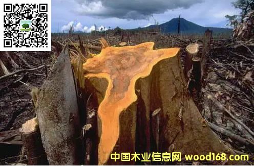 ýƶǽӶʱϡľǷóײ