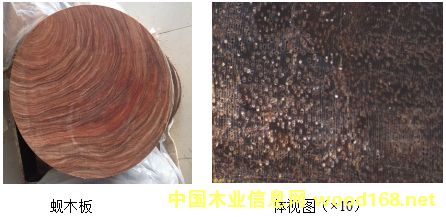 �����Ĵ�����Ӳľ:��˿��ľ����ľ������ľ