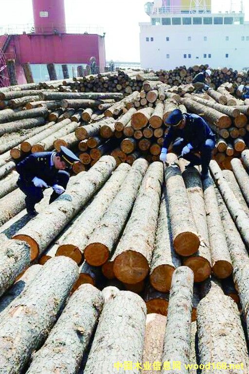 �ɽ�ۿ���ɽ���ڰ��׸�����ľ�ļ��ߴ�����