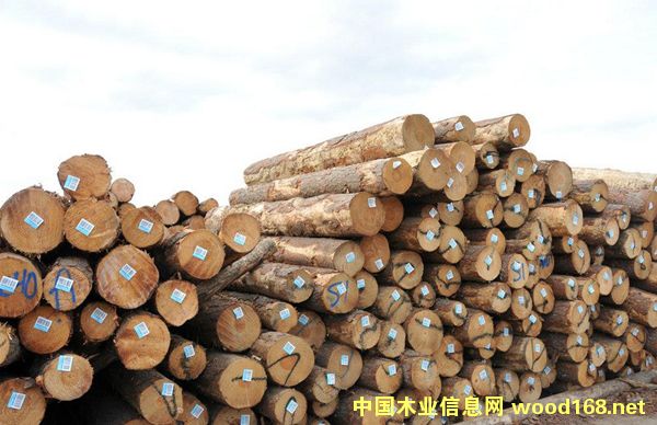 2015��ľ���г������ʱ�ܺ�ת��