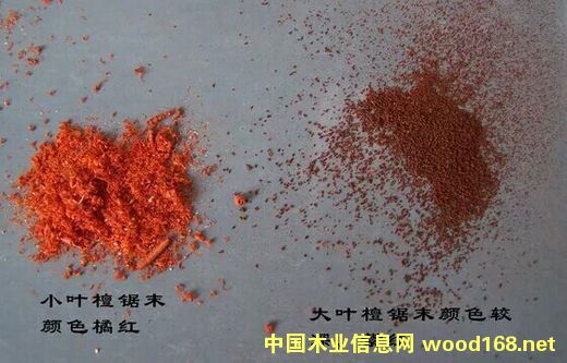 ��ĩ�Ա�-СҶ��̴���Ҷ��̴������