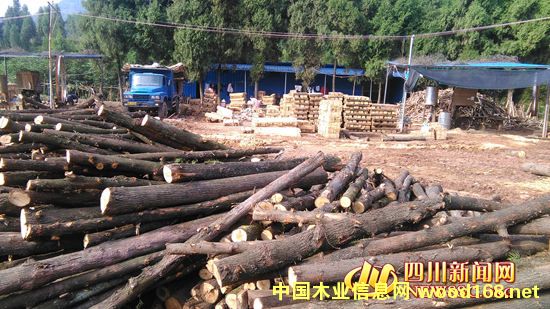 �ϳ䣺�ľ������ڧ ���ؿ��ð�ľ3���ڷ���
