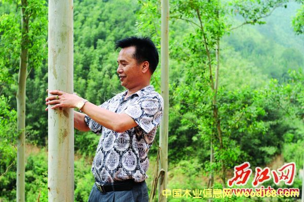 ��ҵ���棺����ɭïľҵ���Ʒ��ӾƵ���е����ϰ�