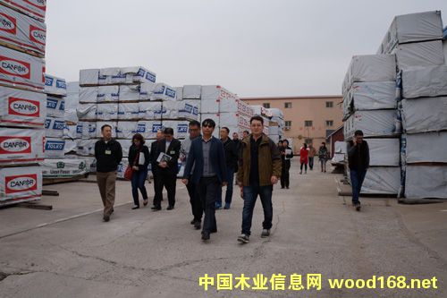 ������Ҷ�Ĵ����ŵ������ľҵЭ��