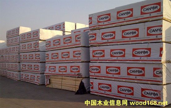 2016�걱��ľ���г���Σ�ľ�������ע��10����