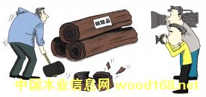 ���ɺ�ľ���ټ���̴�������� �����α������ۼ�