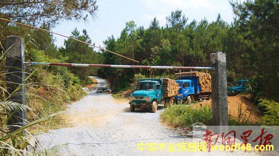 �����������迨�ϰ���ľ�ѳ� ÿ����ʧ����Ԫ