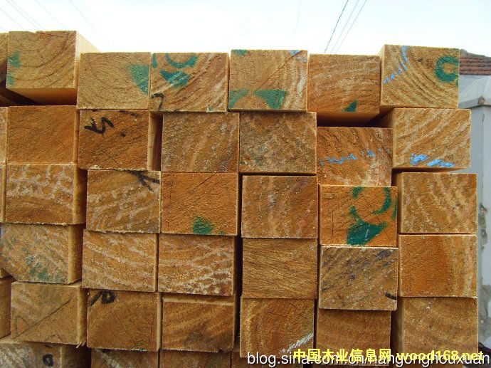 �Ĵ�����ľ�Ĳ�����������������