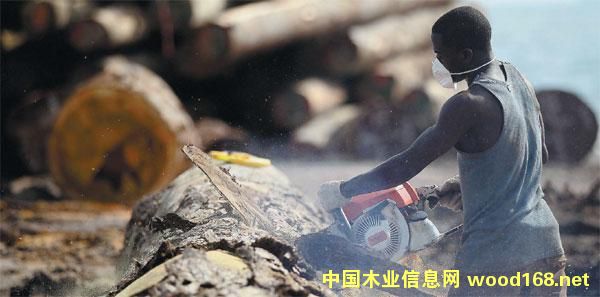 ����ľ�Ĵ�����ҵѲ��֮---�й���ҵ���Ż���ľҵ�ɷݹ�˾