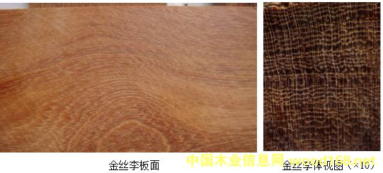 �����Ĵ�����Ӳľ:��˿��ľ����ľ������ľ