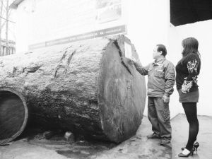 ����һ�Ҿ߳��־��ͷ��޺�ľ