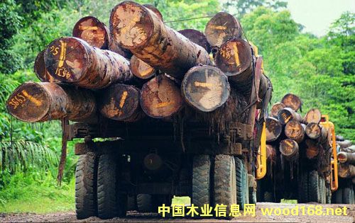 ��������ľ��ҵ����200�� ����������