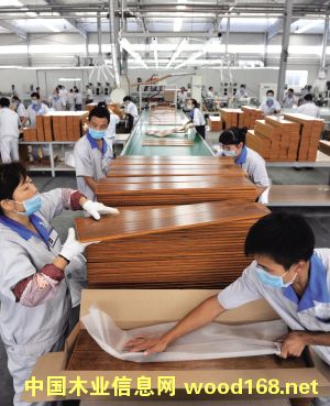 ʥŵľҵ��Ŀ��Ͷ��30.5��Ԫ