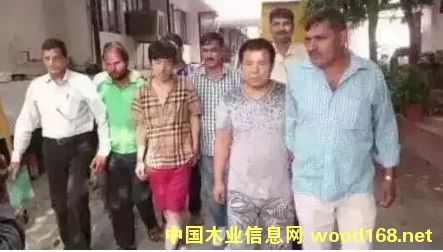 ӡ���µ���ľ����ٴ�ɨ������СҶ��̴������