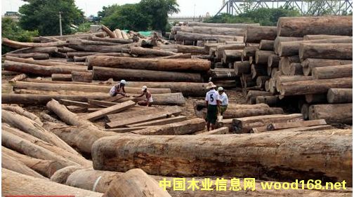 �������Ƿ�ľ��ó�׵��������ڵ���