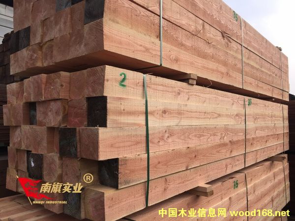 �����ɳ�Ϊ�Ž���������ѡľ��