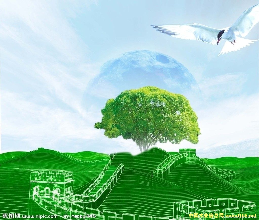 �����-��ɫ���������ҵ��ɫ�������ɳ����顷