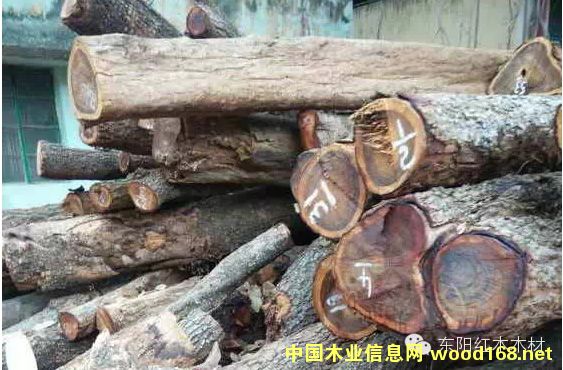 СҶ��̴�Ƿ����˹��֣��еĻ��ж��٣�