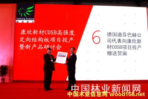 ȫ������COSB��ǿ�ȶ���ṹ��������Ͷ��