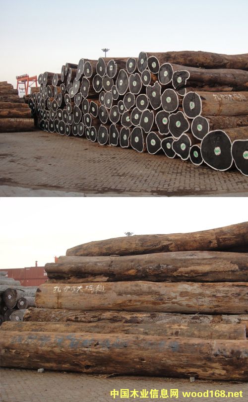 ����ľ�ļ���-�����¶�ľ