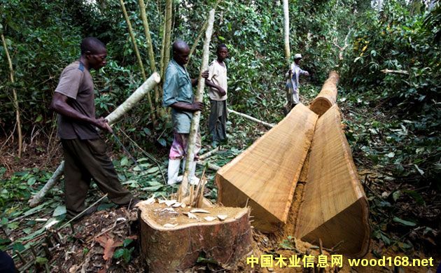 �չ�ľ�Ĳɷ��ͼӹ�ҵ