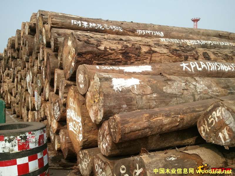 �żҸ�ľ���г�