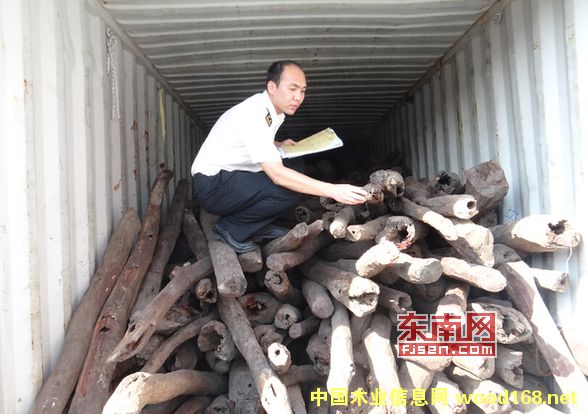 ڰ״νڸ߶˺ľӡСҶ̴