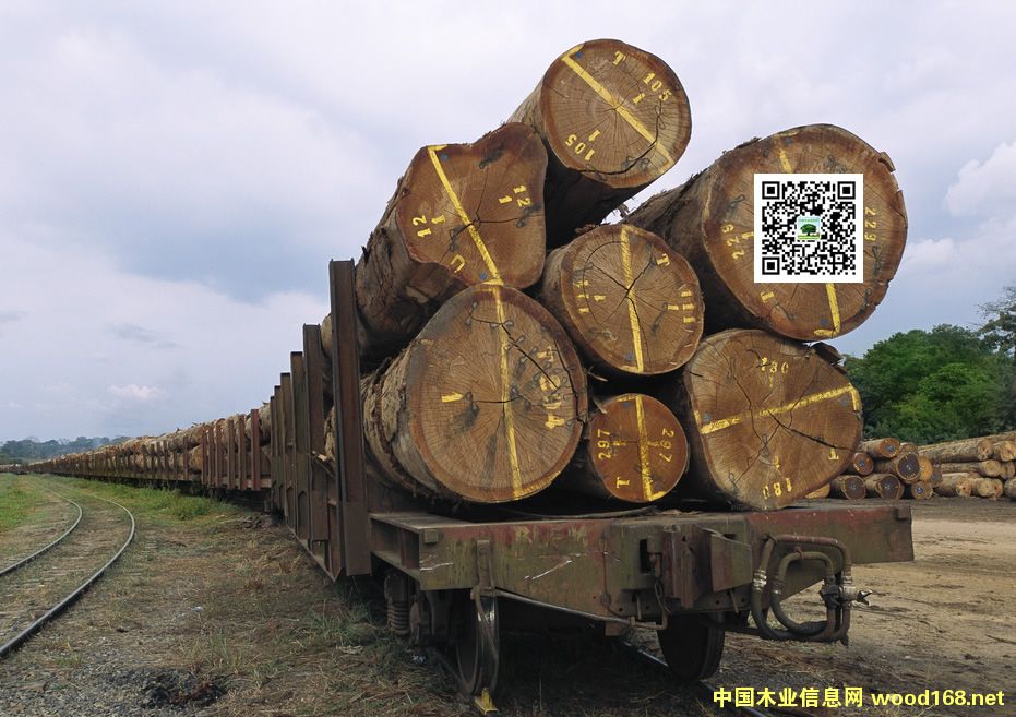 ����ľ��-�з�ľ��ó����