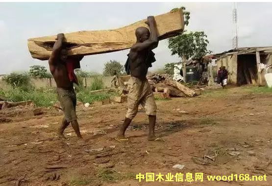 �߾��񻶣����ķ��޻���ľ