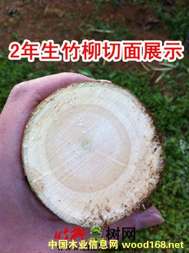 ������ҵ���棺��������������ľ��Σ��