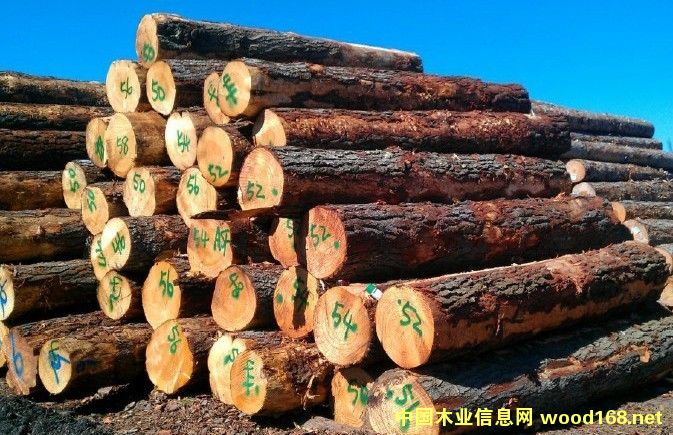 ����ľ������ѹ���� �����̿���ľ�����䡢����