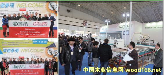 ����ľ��չ�۽����ܻ�ľ���������