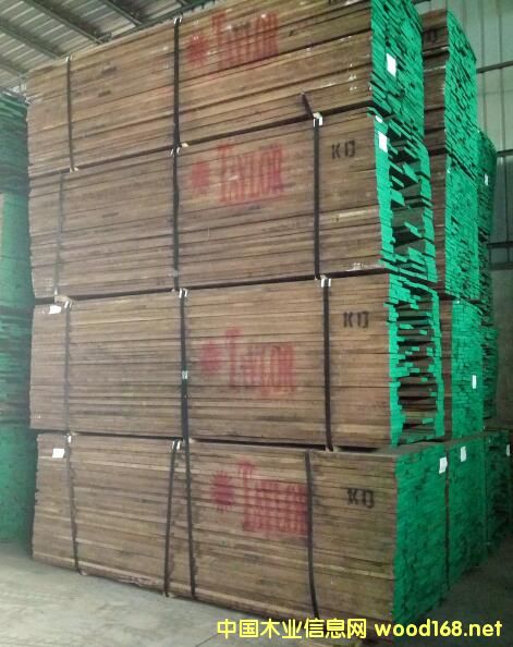 黑胡桃的详细介绍