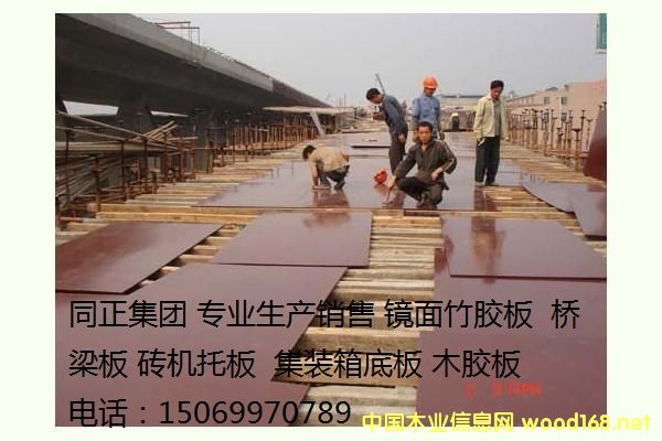 �񽺰����ϸ����