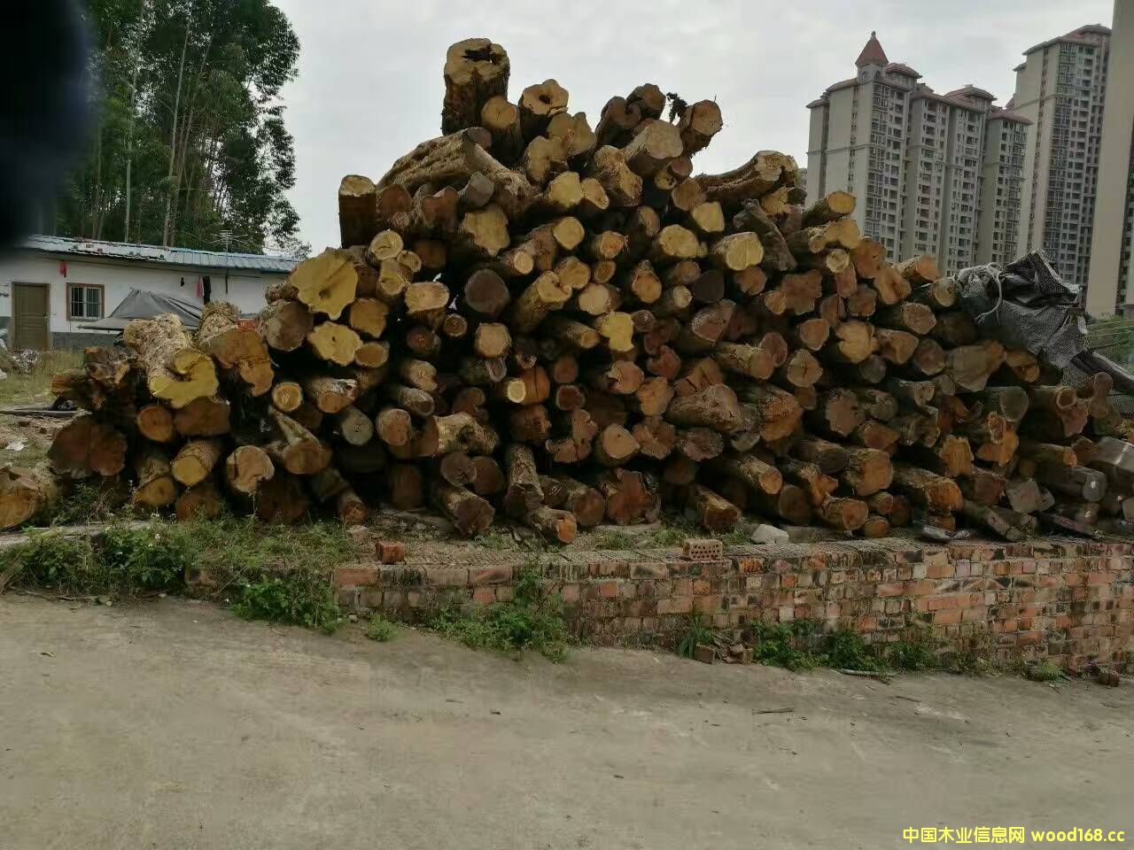 ɣľ  ľ  ľ  ʯ    ƽ