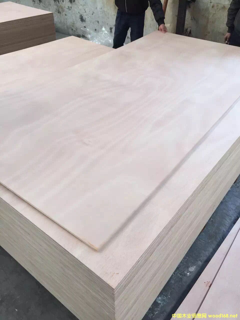 鿴10嵥ƯҾ߰ŴͼƬ