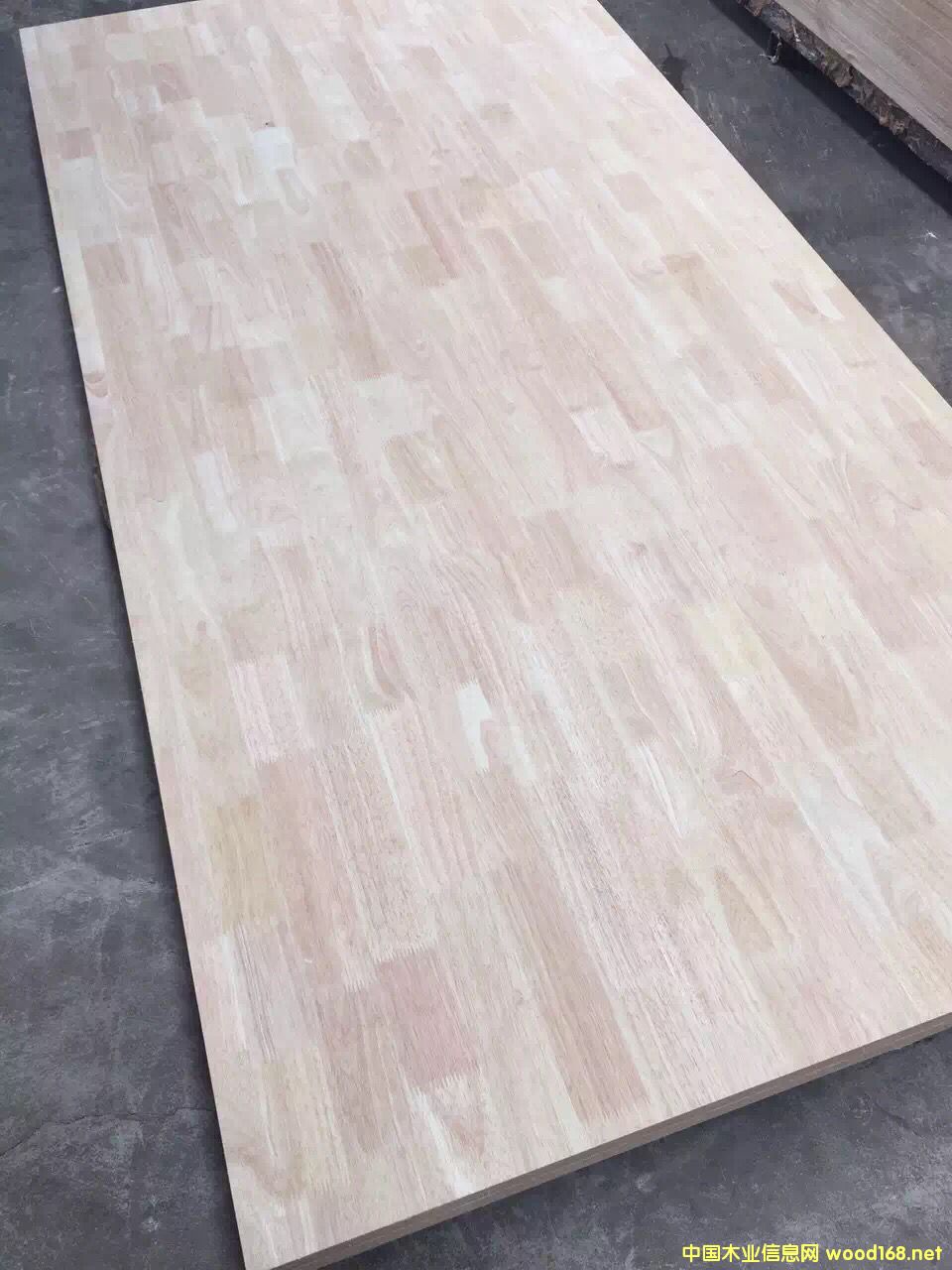 ����оƯ����ľ�����