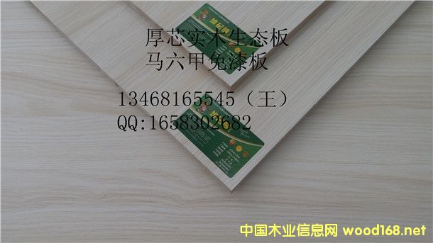 16��Ư������� ����E0��