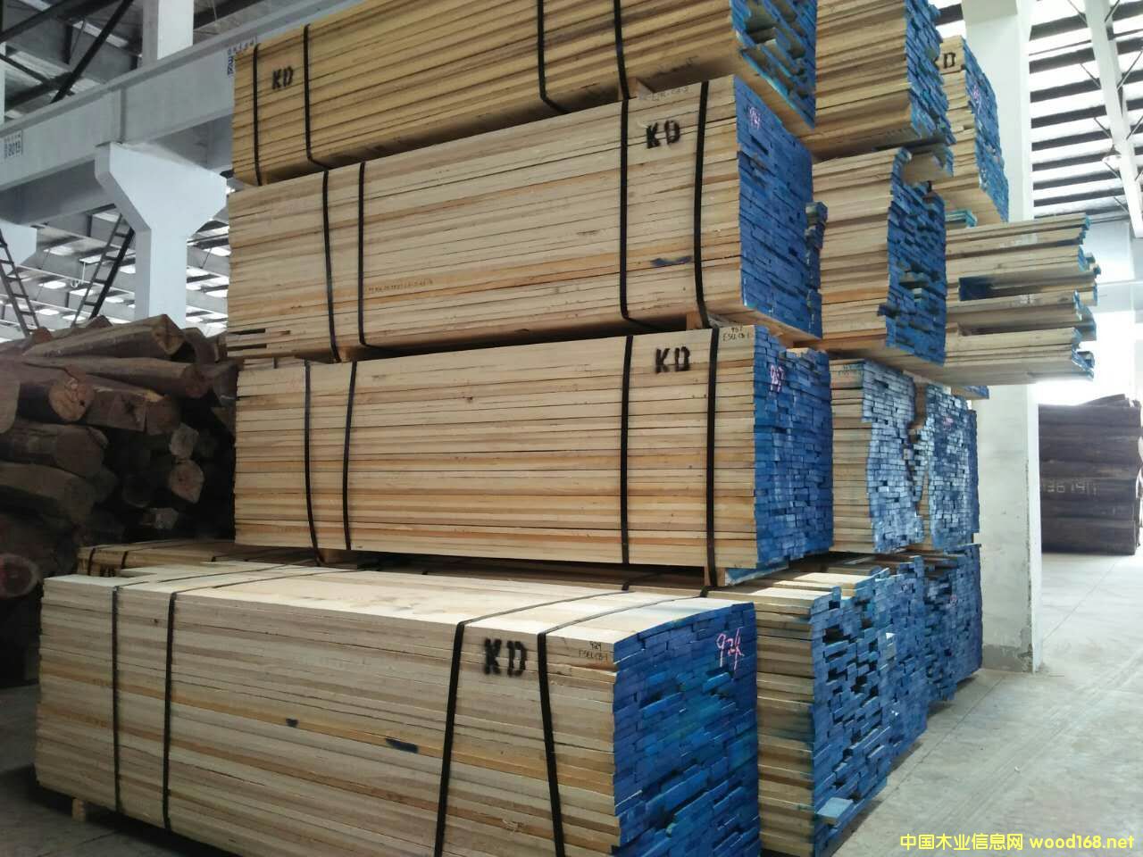 [供] 美国白蜡木板材-中国木业信息网供应大市场