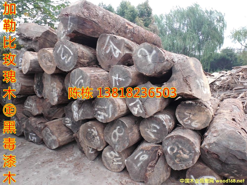 ֦ձõľ˿̴ڶľ޴Ҷƻڻľϸ