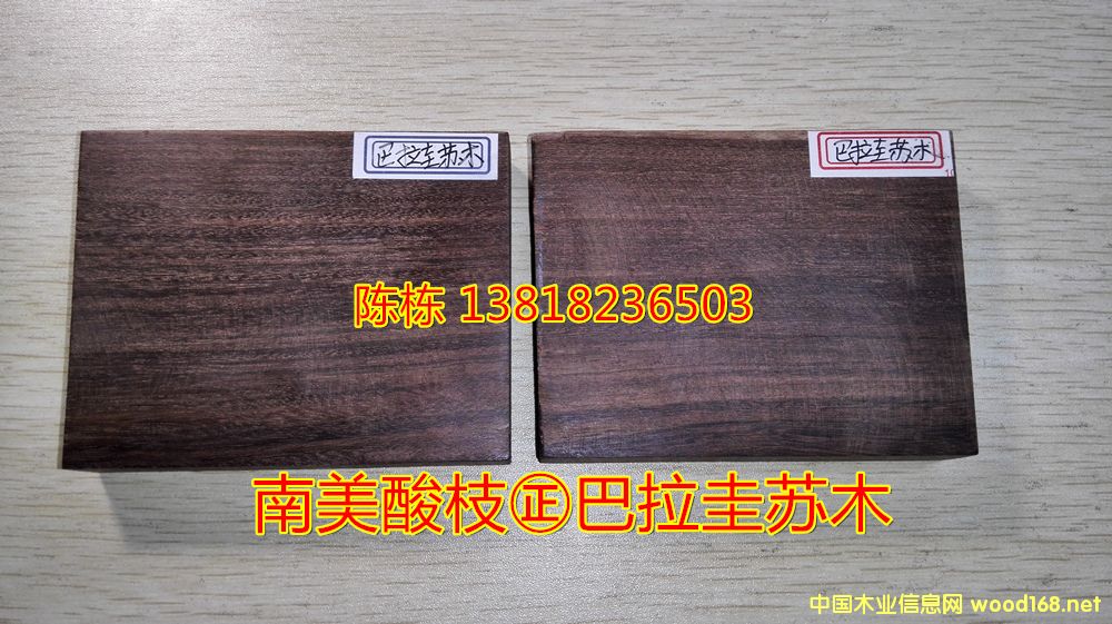 ֦ľţľ˿̴̴СҶ̴޺ڻ̴