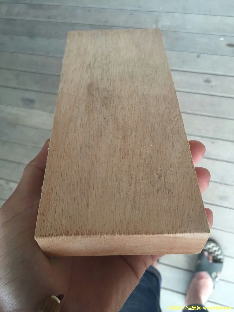 ��������ľ������ľ�ġ��������ľ�ذ�