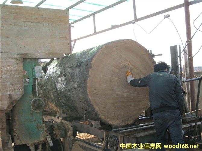 ����ľ�������ɶ���